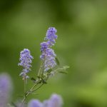 bbin娱乐城的优惠活动:如何利用促销提升游戏乐趣 4j9r7k