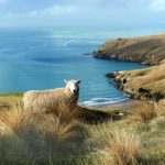 ca88娱乐的奖金活动:如何最大化你的赢利机会 rwq21j