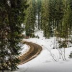 347期开奖号码前后区精准分析预测 14ki4