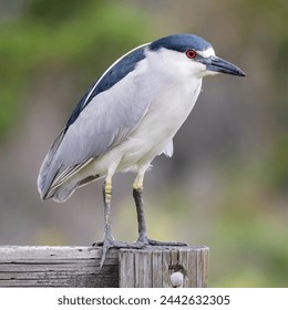 140期开奖结果震撼揭晓,大奖花落谁家引关注