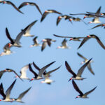 15060期足彩开奖结果揭晓,奖金分配详情公布 4igrzp