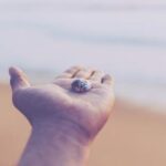 34502期最快开奖结果查询与开奖号码同步更新 ad8d6oz4