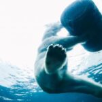 14场足彩历史开奖全记录与数据分析 ebm93