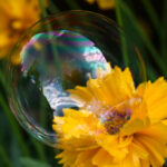 357开奖结果揭晓,最新中奖号码公布 v0cuy3kxg